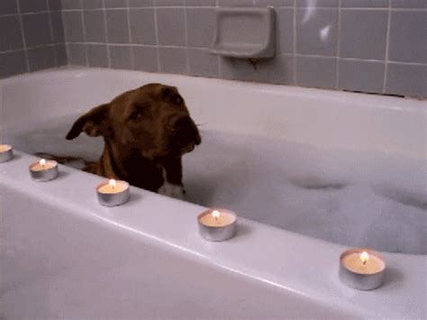 bathtub porn gif|Relevance Bath Gifs